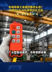车间吊装工业遥控器怎么选？力德尔LD-6SK高性价比之选#工业遥控器 