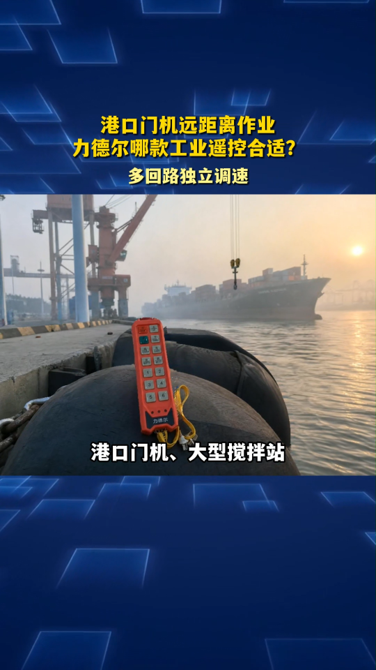 港口门机远距离作业，力德尔哪款工业遥控合适？#工业遥控器定制 