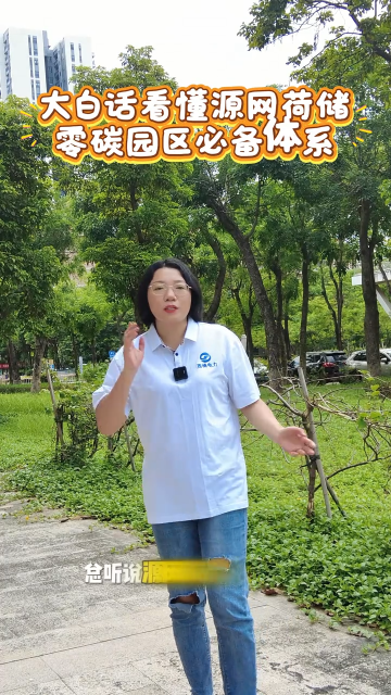 大白话看懂源网荷储零碳园区必备体系