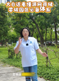 大白话看懂源网荷储零碳园区必备体系
