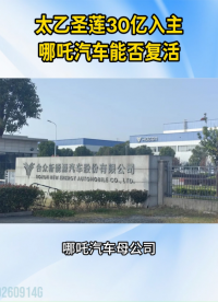 神话照进现实？"太乙圣莲"拟出资30亿重整哪吒汽车##哪吒汽车重整#新能源汽车#行业动态
 