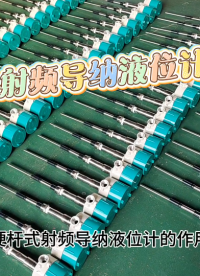 硬杆式射频导纳液位计的作用
