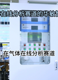 气体在线分析赛道的的华敏智造# #人工智能 