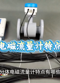 分体电磁流量计特点有哪些