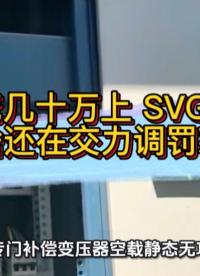花几十万上 SVG，为啥还在交力调罚款？