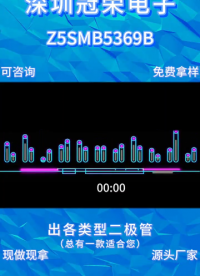 Z5SMB5369B，贴片稳压二极管 电路基准稳压器件# 