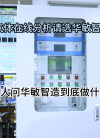什么是气体在线分析解决方案# #人工智能 