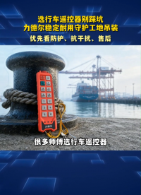 选行车遥控器别踩坑，力德尔稳定耐用守护工地吊装#工业遥控器 